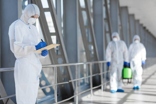 Best Asbestos and Lead Testing During Mold Inspection  in Wolf Point, MT