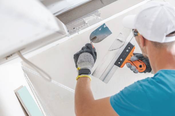 Biohazard Mold Removal in Wolf Point, MT